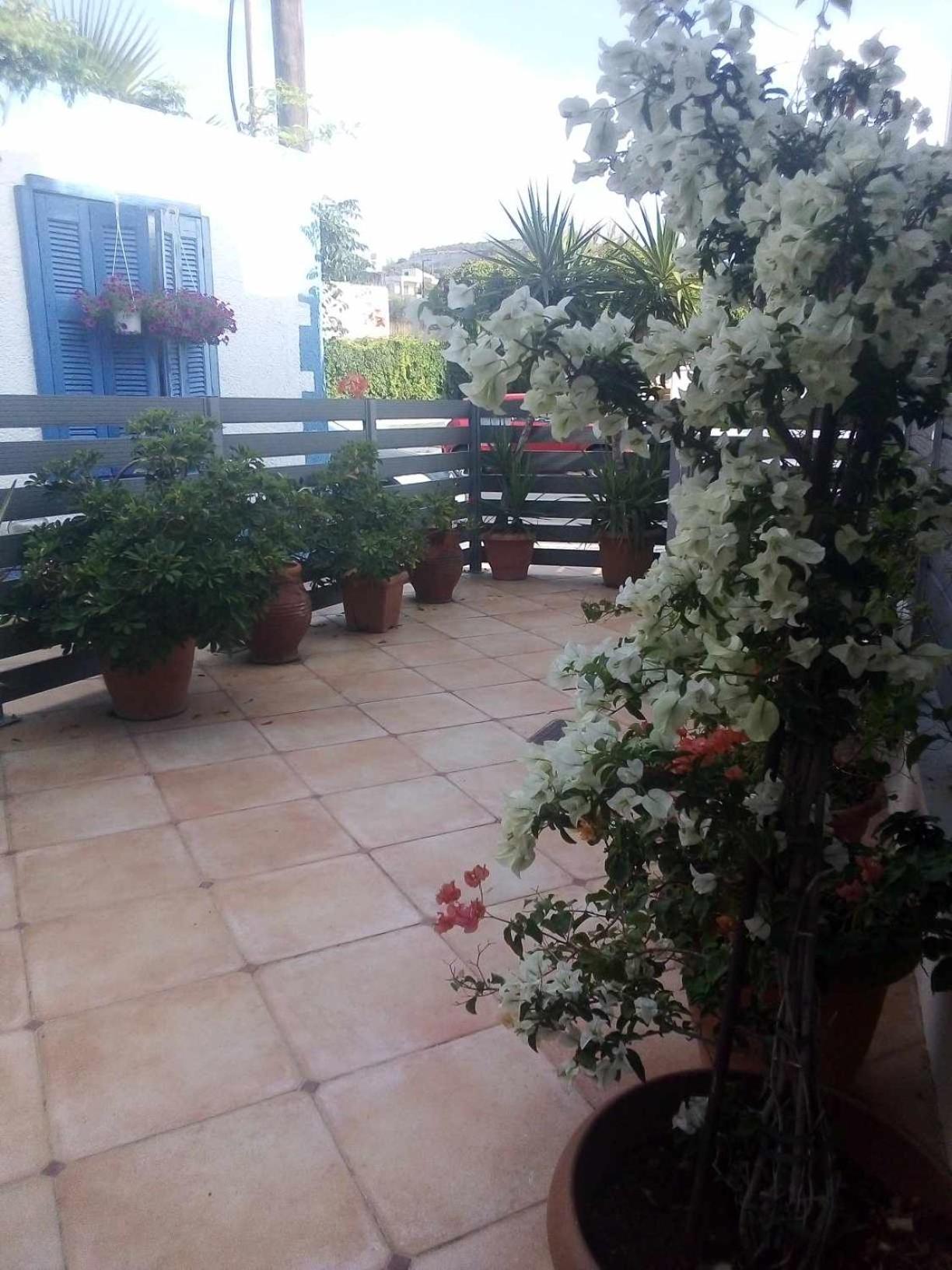 דירות Agia Marina The Getaway מראה חיצוני תמונה
